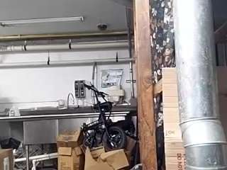 virgovixengal