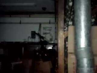 virgovixengal