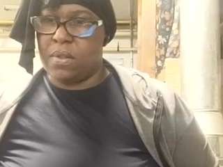 virgovixengal