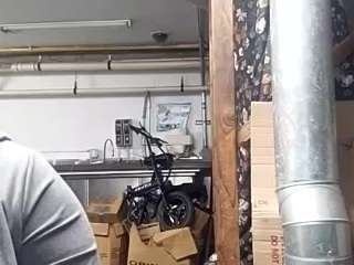 virgovixengal