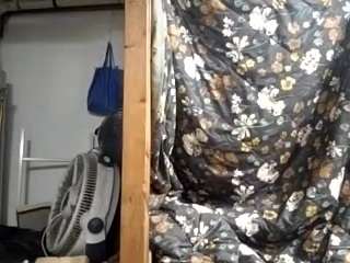 virgovixengal