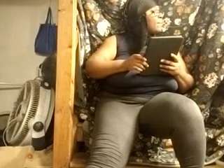virgovixengal