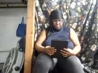 virgovixengal