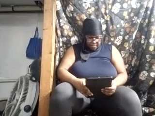 virgovixengal