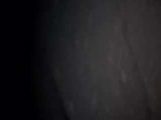 virgovixengal