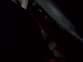virgovixengal