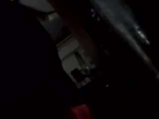 virgovixengal