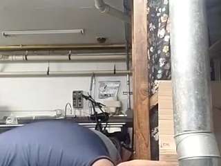 virgovixengal