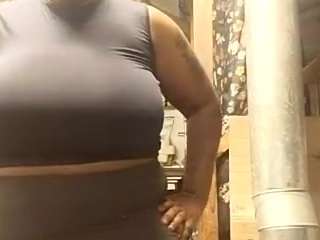 virgovixengal