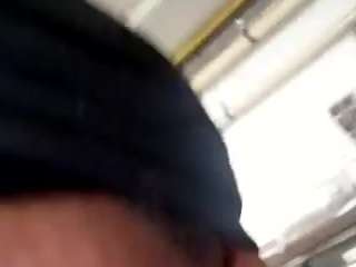 virgovixengal