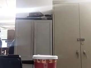 virgovixengal
