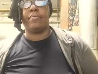 virgovixengal