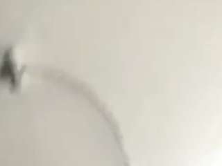 virgovixengal