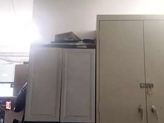 virgovixengal