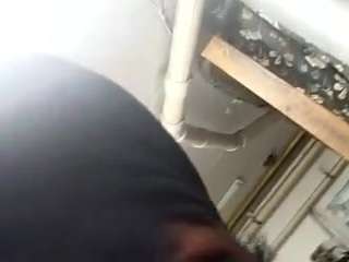 virgovixengal