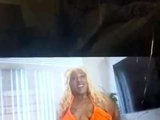 virgovixengal