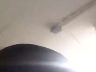 virgovixengal