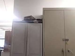 virgovixengal