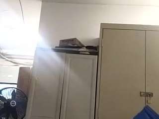 virgovixengal