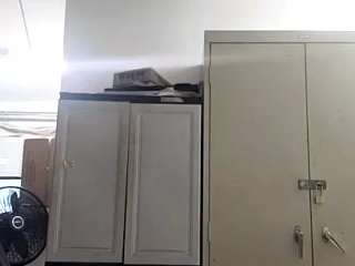 virgovixengal