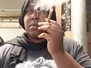 virgovixengal