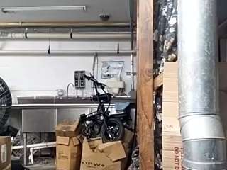 virgovixengal