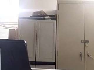 virgovixengal
