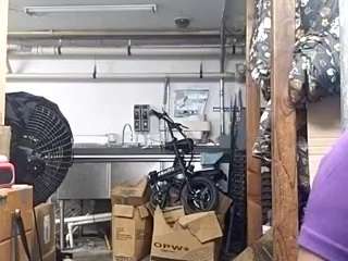 virgovixengal