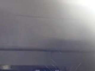 virgovixengal