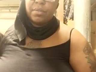 virgovixengal