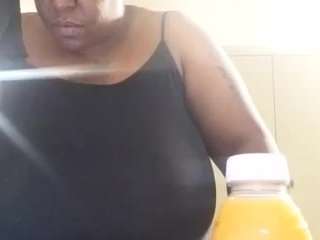 virgovixengal