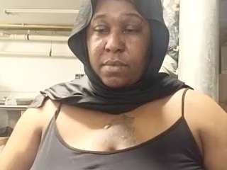 virgovixengal
