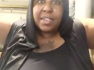 virgovixengal