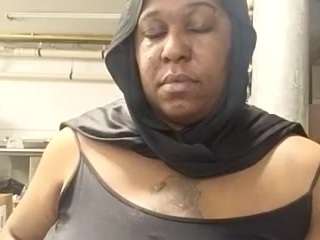 virgovixengal
