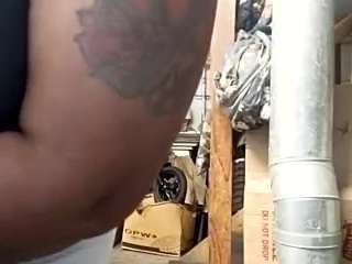 virgovixengal