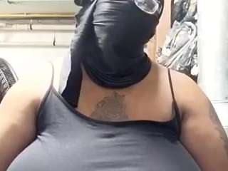 virgovixengal