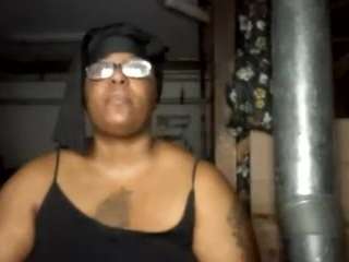 virgovixengal