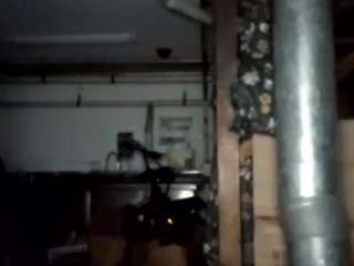 virgovixengal