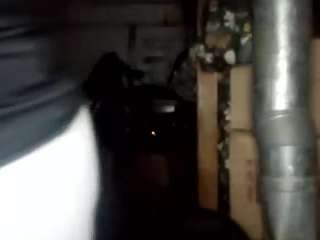 virgovixengal