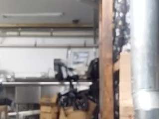 virgovixengal