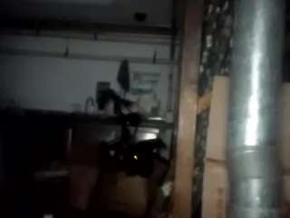 virgovixengal