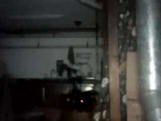 virgovixengal