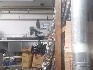 virgovixengal