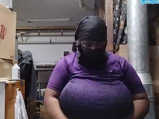 virgovixengal