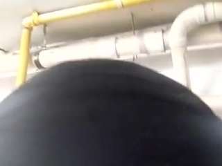 virgovixengal