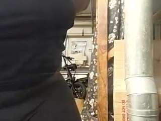 virgovixengal