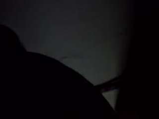 virgovixengal