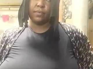 virgovixengal