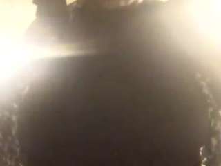 virgovixengal