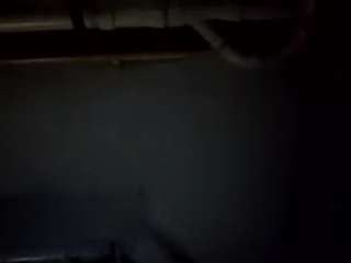 virgovixengal